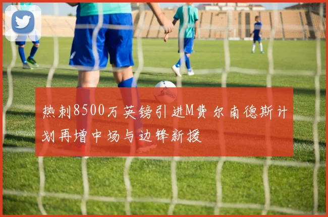 热刺8500万英镑引进M费尔南德斯计划再增中场与边锋新援